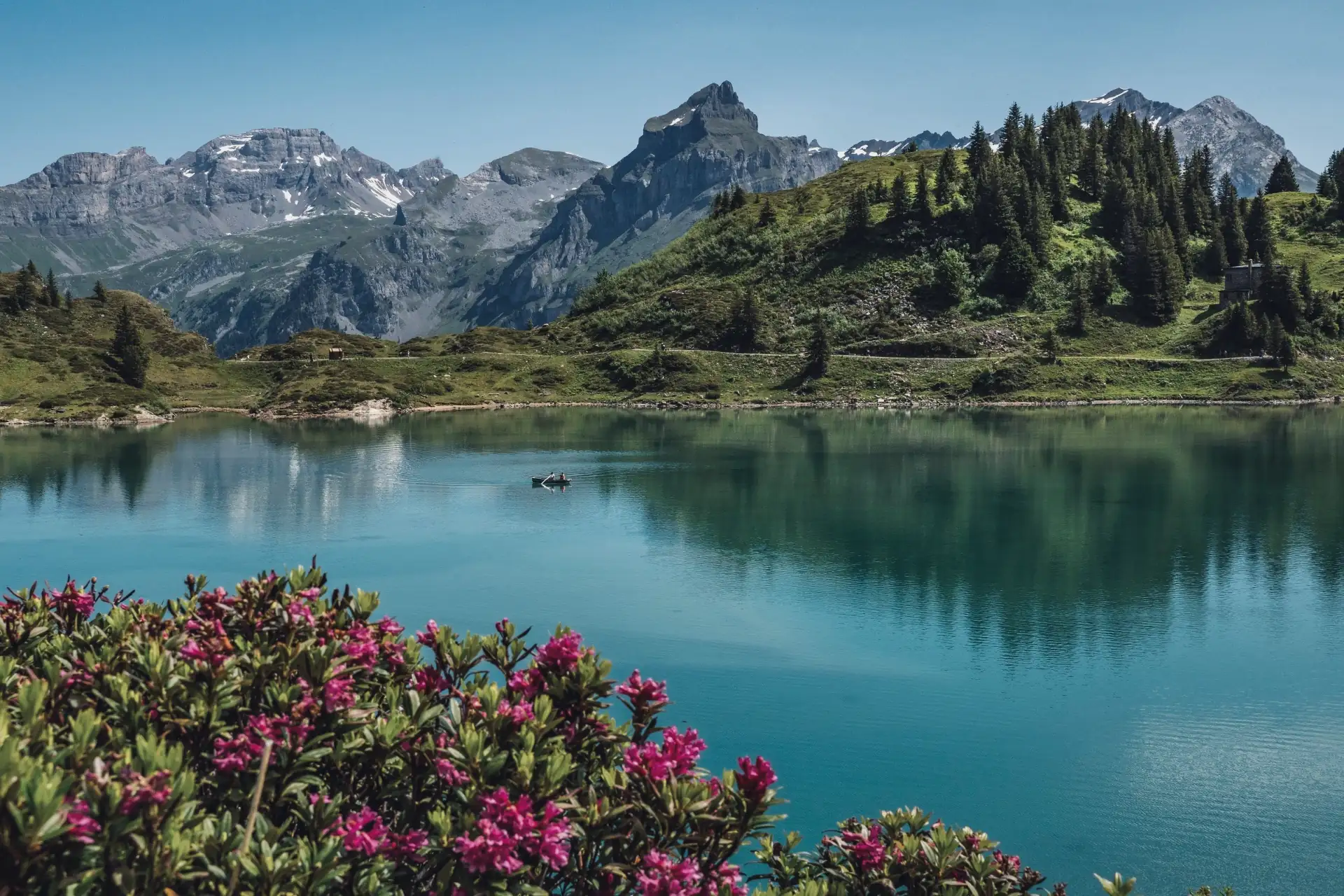 Alpensee mit Bergpanorama und Alpenrosen