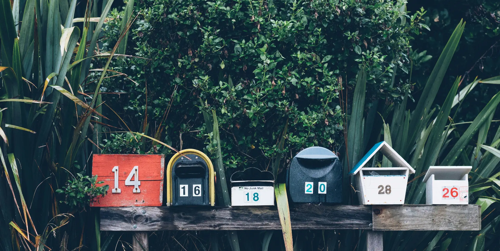 escapio Newsletter